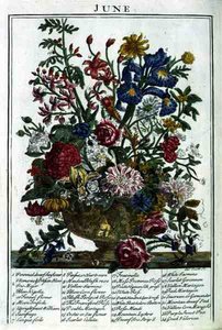 Juni, från "The Flower Garden Displayed" av Robert Furber (c.1674-1756), graverad av James Smith, pub. 1732 (färgad gravyr)