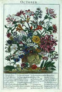 Oktober, från "The Flower Garden Displayed" av Robert Furber (c.1674-1756), graverad av James Smith, pub. 1732 (färgad gravyr)