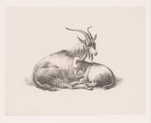 Bock och en get av Pieter Bartholomeusz. Barbiers