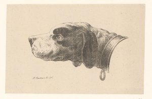 Hundhuvud med halsband av Pieter Bartholomeusz. Barbiers