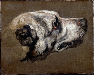 Head of a Hund