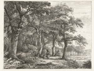Skogslandskap med man med ryggsäck