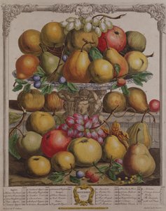 December, från "Twelve Months of Fruits", av Robert Furber (ca 1674-1756), graverad av Henry Fletcher, 1732 (färggravyr).