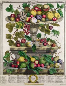 Juni, från "Twelve Months of Fruits", av Robert Furber (ca 1674-1756), graverad av Henry Fletcher, 1732 (färggravyr).