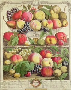 September, från "Twelve Months of Fruits", av Robert Furber (ca 1674-1756) graverad av Henry Fletcher, 1732 (färgstick) av Pieter Casteels