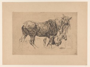Studieblad med två hästar av Pieter Dupont