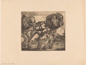 Draghästar vid Seine i Paris L