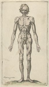 Studie av en naken man Anatomical Studies (serietitel)