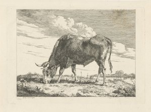 betande ko av Pieter Gerardus van Os