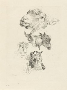 Studieblad med får, häst, åsna, bagge och tjurhuvuden av Pieter Gerardus van Os