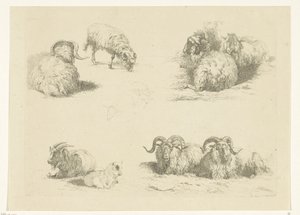 Fyra föreställningar med får och getter Får och getter (serietitel) av Pieter Gerardus van Os