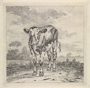 Landskap med kalv av Pieter Janson