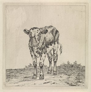 Landskap med kalv av Pieter Janson