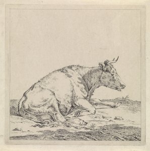 Liggande ko, till höger av Pieter Janson
