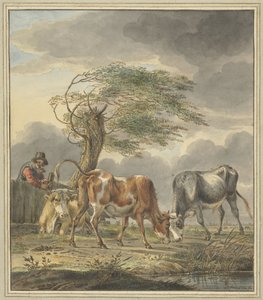 Två unga tjurar och en ko av Pieter Janson