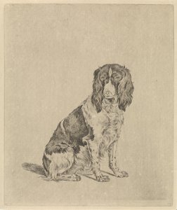 Sittande rapphönshund av Pieter Janson