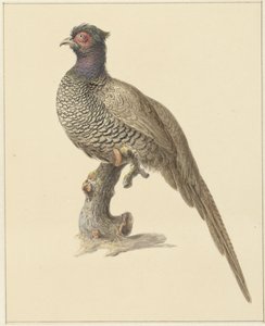 Jagar fasan av Pieter Pietersz. Barbiers
