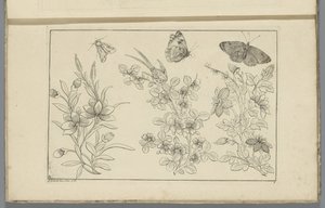 Tre blomgrenar och tre fjärilar Kinesiska blommor och insekter (serietitel)