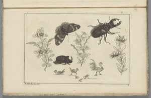 Tre blomgrenar med noshörningsbagge, fjäril och tor Kinesiska blommor och insekter (serietitel)