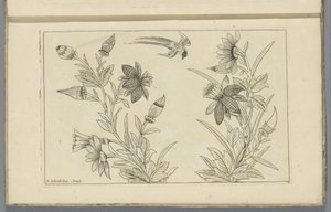 Två blomsterbuskar och en svala Kinesiska blommor och fåglar (serietitel) av Pieter Schenk (II)