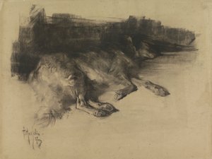 Liggande, sovande hund