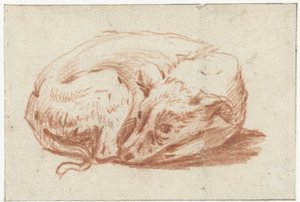Liggande hund