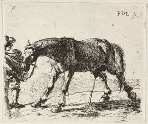 Kissande häst av Pieter van Laer