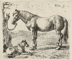 Hästen och hunden