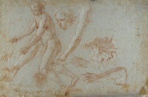 Ritning av Pietro Aquila