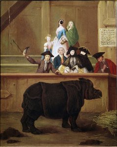Noshörning: utställning av Clara, indisk noshörning. Målning av Pietro Longhi (1702-1785). 1751. Venetianskt museum från 1700-talet. Ca 