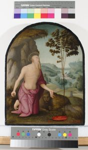 Saint Hieronymus i vildmarken, ca 1510-15 av Pietro Perugino