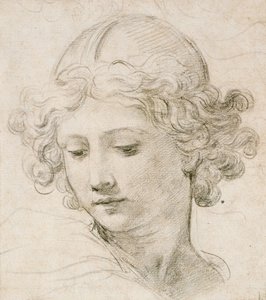 Huvudet på en ängel, tittar ner till vänster av Pietro da Cortona