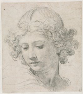 Studie för chefen för St. Michael av Pietro da Cortona