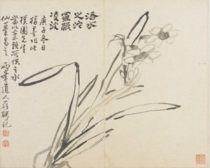 Landskap, blommor och fåglar: Narcissus, Qingdynastin av Luo Ping