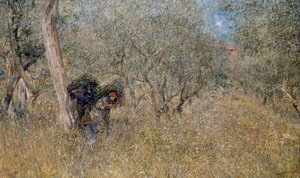 Bland olivträd, faskiner, av Plinio Nomellini (1866-1943), olja på duk, 60x100 cm av Plinio Nomellini
