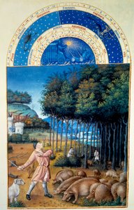 November: slakten av ekollon. Miniatyr i "The very rich hours of the Duke of Berry" av Pol De Limburg (1400-talet). Chantilly, Musee Conde