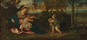 Madonna och barnet och spädbarnet Saint John i ett landskap av Polidoro Lanzani