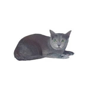 Korat, 2014 (akvarell  gouache på papper)