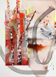 Björkskog – abstrakt