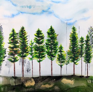 Evergreen Forest – en oas av lugn av Poonam Choudhary