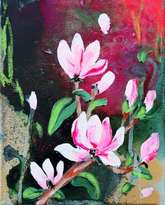Rosa magnoliablommor av Poonam Choudhary