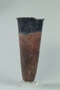 Svarttoppad wase, Nagada I-II Period (förluster)