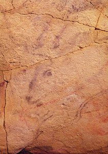 Hoved af en lille kronhjort, fra hulerne ved Altamira, ca. 15000-8000 f.Kr. (hulemaleri) svensk av Prehistoric