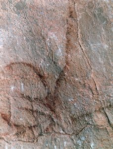  av Prehistoric Prehistoric