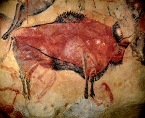 Förhistoria, övre paleolitisk konst: en bison eller uroks, parietalmålning i grottan i Altamira (Spanien), kol och röd ockra, mellan 35 000 och 11 000 f.Kr. - Konst i övre paleolitikum - Målning i grottan i Altamira