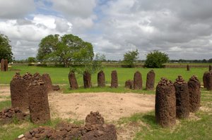 Förhistoria: Megalitisk cirkel av stenar från Wassu, Gambia (foto) av Prehistoric Prehistoric