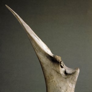 Förhistoria, Polada-kultur: benspets från Polada Tourbiere, Lonato. Bronsåldern. Rom, Luigi Pigorini Nationalmuseum för förhistorisk etnografi av Prehistoric Prehistoric