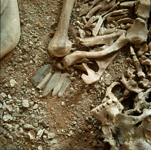 Förhistoria: dubbel begravning av vuxna och barn. Detaljvy av begravningsbyxan från Candid Arene Cave (Finale Liguria), Liguria. Mesolitikum, 7000-6000 f.Kr. Gener, museo di archeologia ligure av Prehistoric Prehistoric