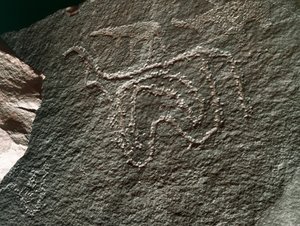 Förhistoria, klippkonst: en allvarlig klippa av representation av en boskap. Tazina stil. Stenåldern 5000-2000 f.Kr. Taghit, Haut plateau du Hoggar (Ahaggar), Algeriet av Prehistoric Prehistoric