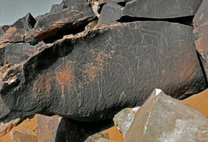Förhistoria, hällkonst: gravsten av representationen av boskap. Tazina stil. Stenåldern 5000-2000 f.Kr. Taghit, Haut plateau du Hoggar (Ahaggar), Algeriet av Prehistoric Prehistoric